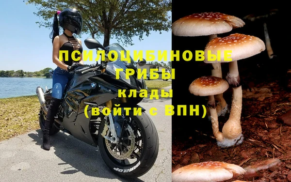 стафф Рославль