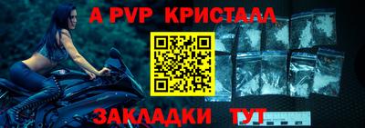 амф Гай
