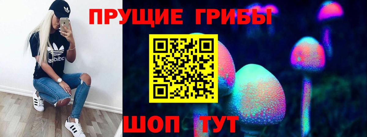 Псилоцибиновые грибы мухоморы Чита